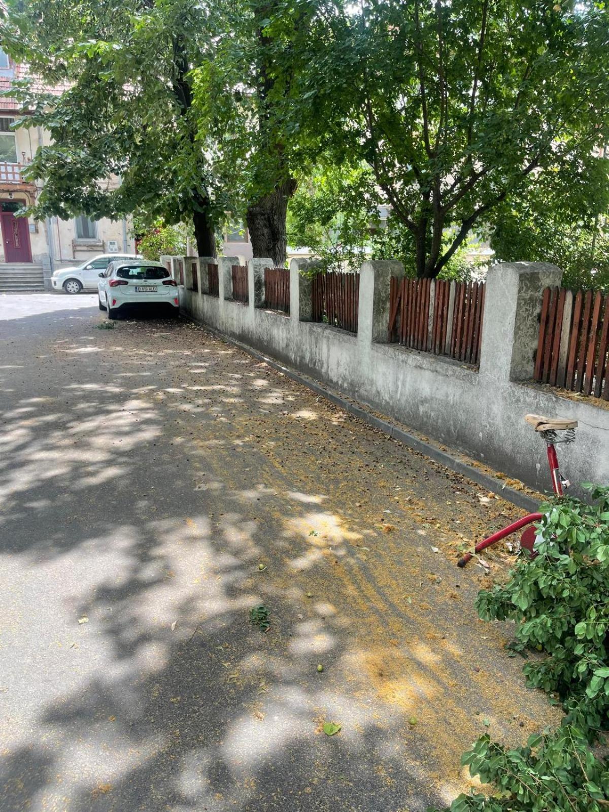 Prime 4 Leilighet Bucureşti Eksteriør bilde